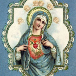 22 Août - Le Cœur Immaculé de la Bienheureuse Vierge Marie