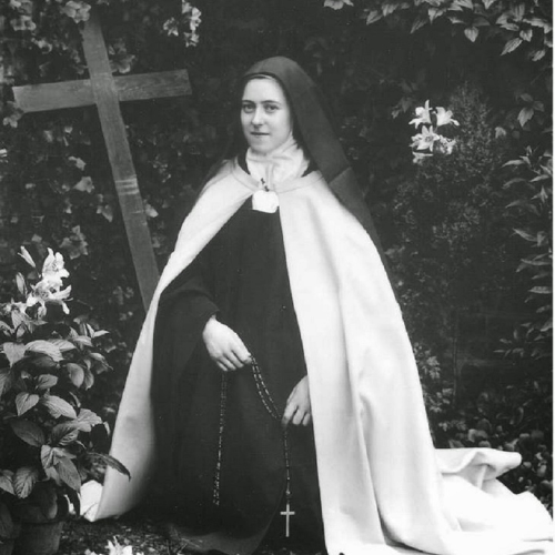 La Vie de Sainte Thérèse de Lisieux